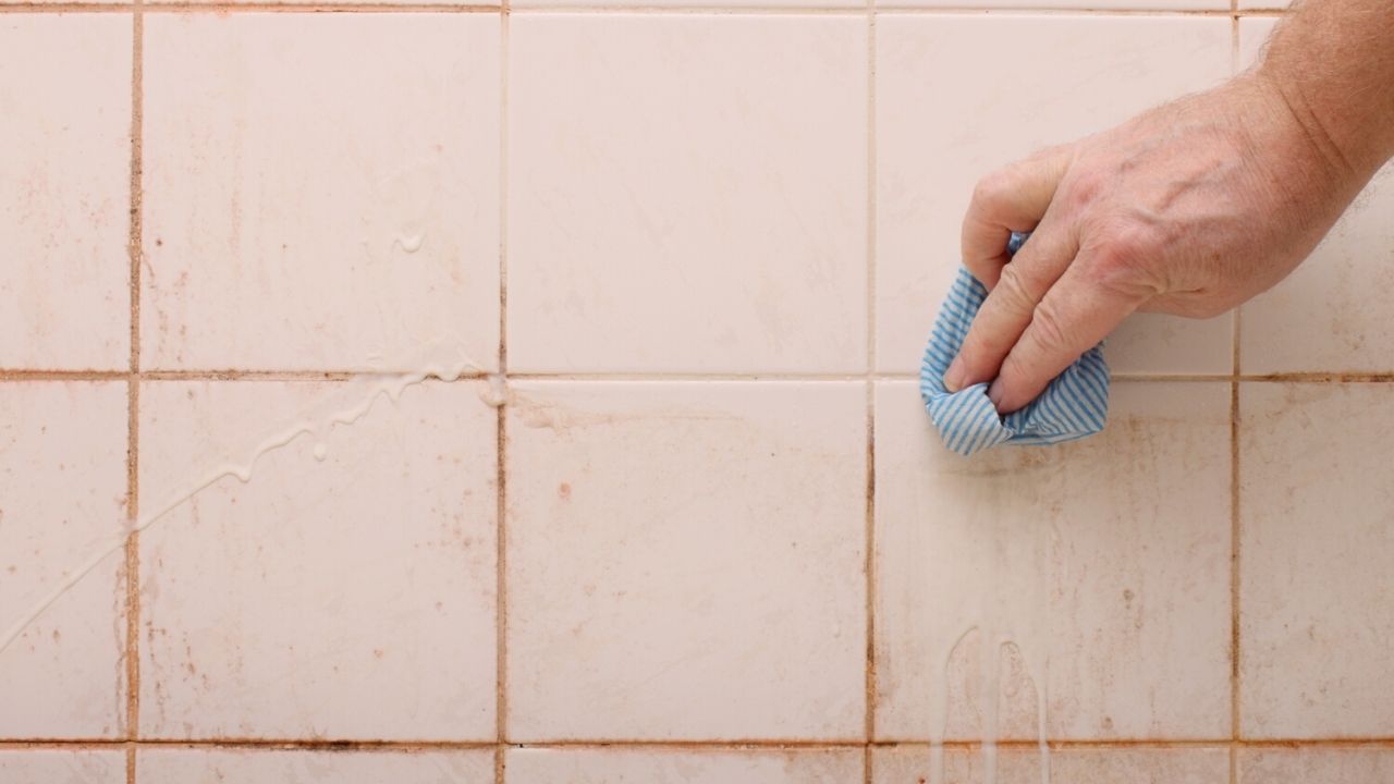 How to Remove pink mold in the Bathroom