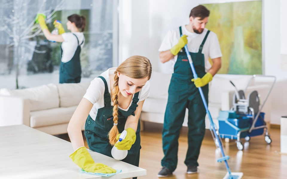 Carpet Cleaning Services You Should Consider