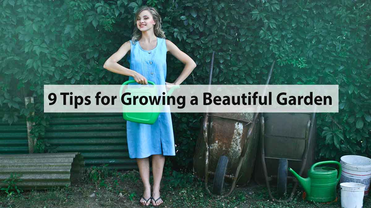 9 Tips for Growing a Beautiful Garden